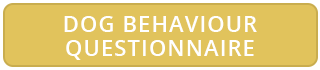 button bigyellow dog behaviour questionnaire